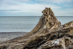 Rügen_Sassnitz06993