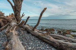 Rügen_Sassnitz07020