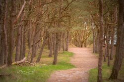 Rügen_Schaabe07085