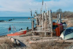 Rügen_Dranske07184