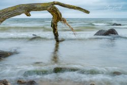 Rügen_Göhren07386