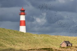 Sylt_0021