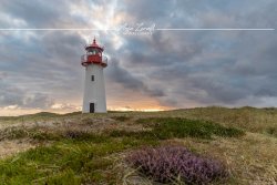 Sylt_0039