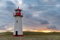 Sylt_0042