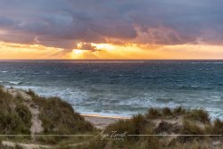 Sylt_0068