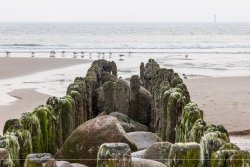 sylt_5250