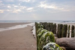 sylt_5258
