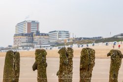 sylt_5290