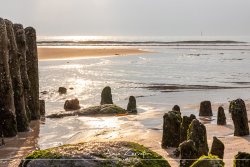 sylt_5321