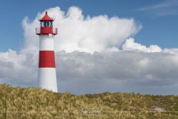 Sylt_5546