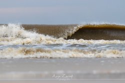 sylt_5636