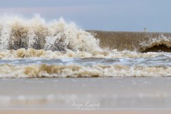 sylt_5637