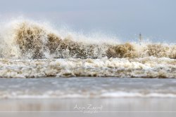 sylt_5644