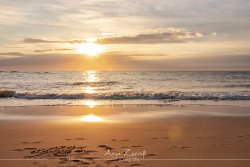 sylt_5829