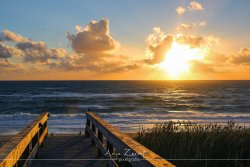 sylt_8828