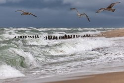 Sylt_9731