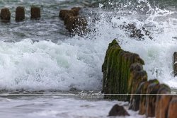 Sylt_9838