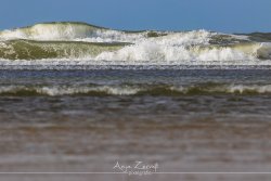 spiekeroog_9940