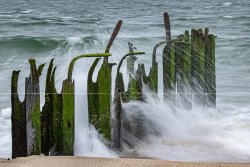 Sylt_9941