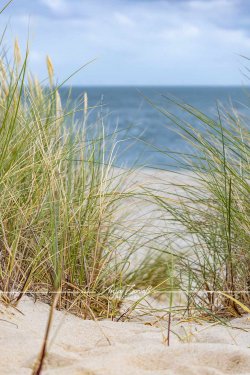 Sylt_9963