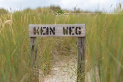 Sylt_9970