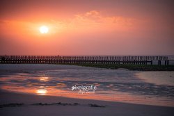 Wangerooge_02262