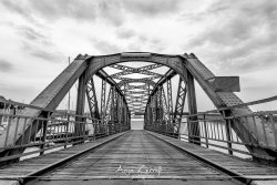 whv_8257