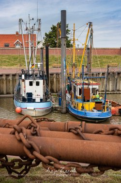 ditzum_8314