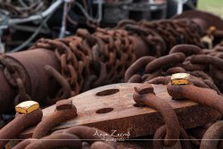 ditzum_8317