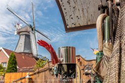 ditzum_8340