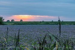 greetsiel_1296