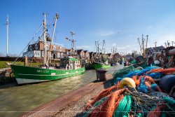 neuharling_4108