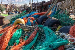 neuharling_4110