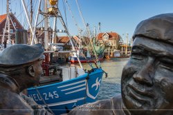 neuharling_4132