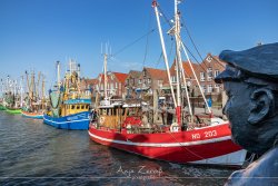 neuharling_4135