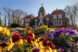 neuharling_4153