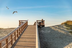 Norddeich_9689