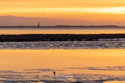 eckwa_0989