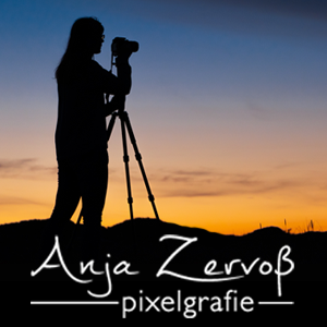 (c) Anjazervosspixelgrafie.de